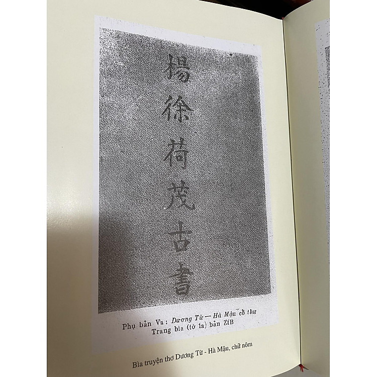 NGUYỄN ĐÌNH CHIỂU - DANH NHÂN VĂN HOÁ THẾ GIỚI - Ảnh 3