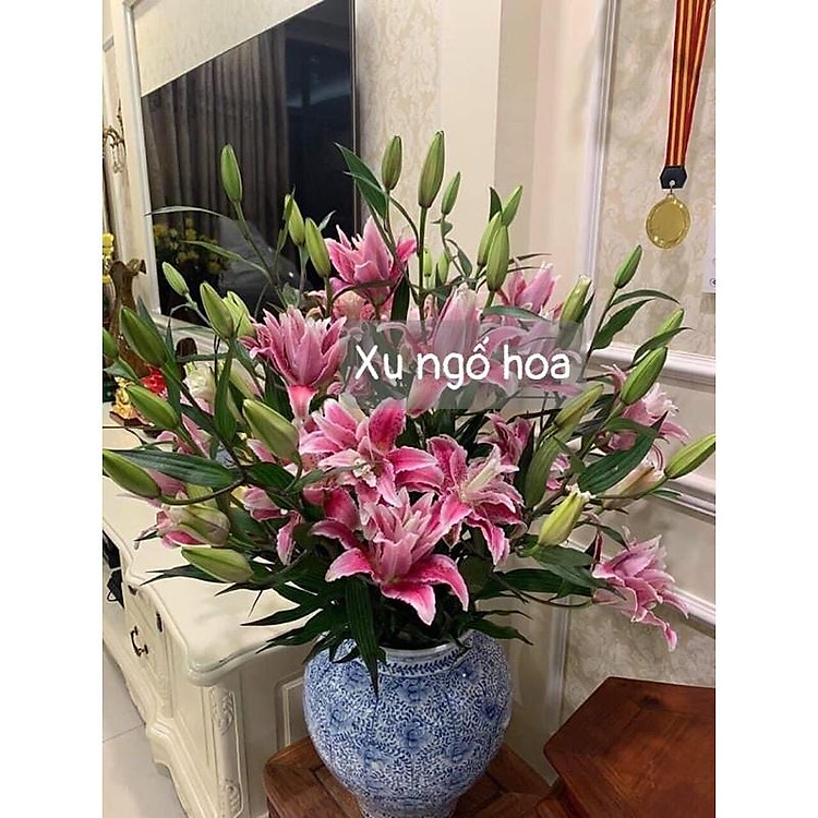 CỦ LY KÉP SIÊU ĐẸP