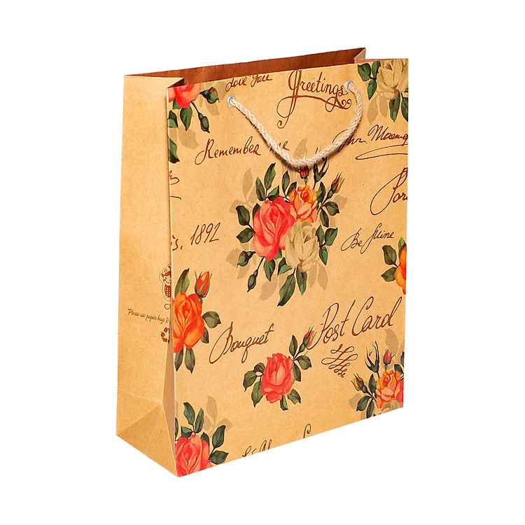 Túi Kraft KN210 (32x25x9.5 cm) - Ảnh 4