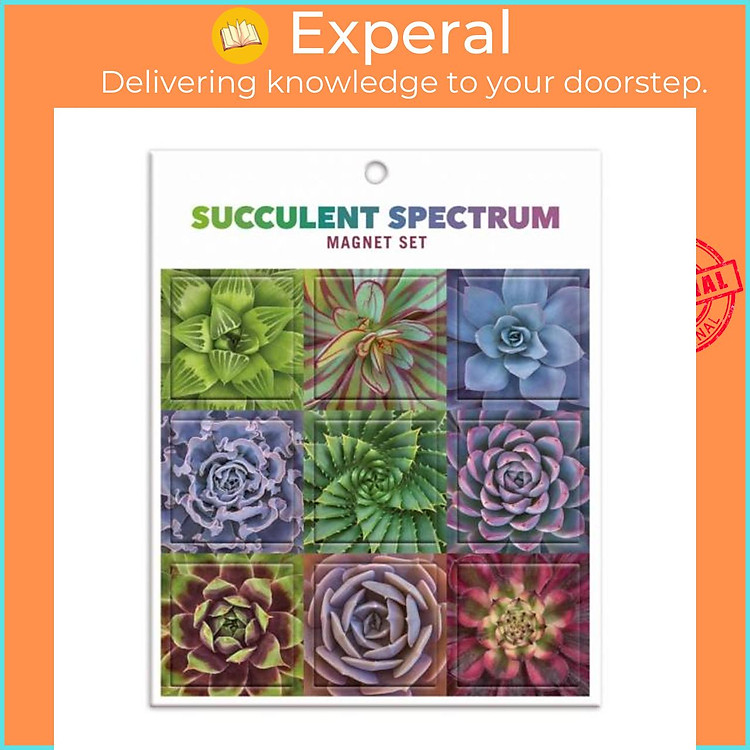 Sách - Succulent Spectrum Magnet Set by Galison (UK edition, paperback)