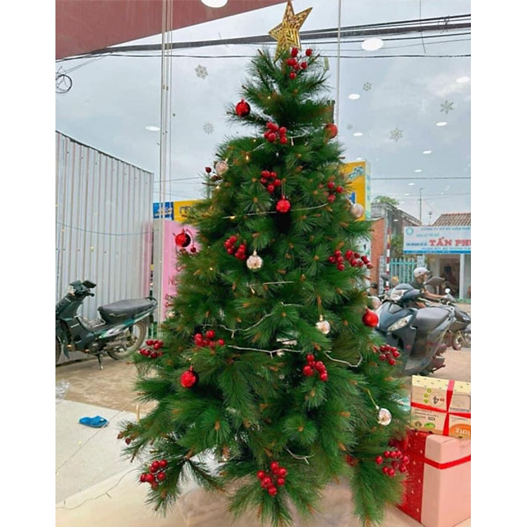 Cây Thông Noel Cước Đầu Vàng Gắn Trái Đỏ 2m1