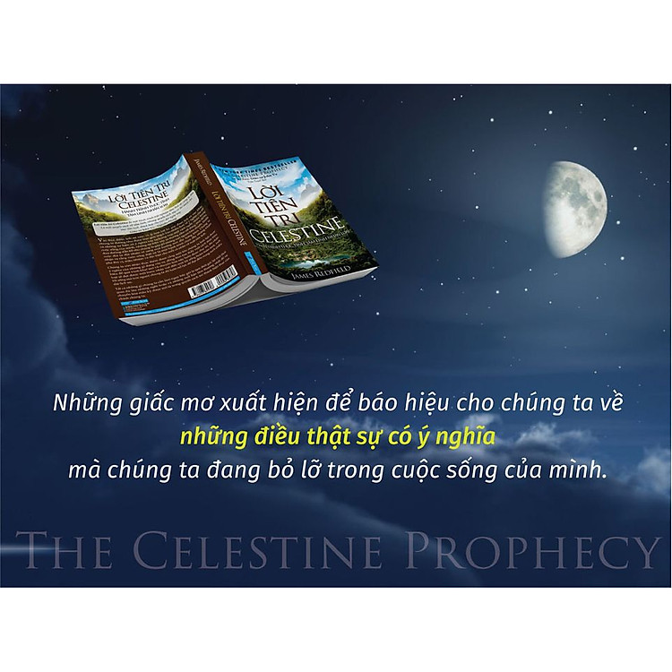 Lời Tiên Tri Celestine (FN) - Ảnh 6