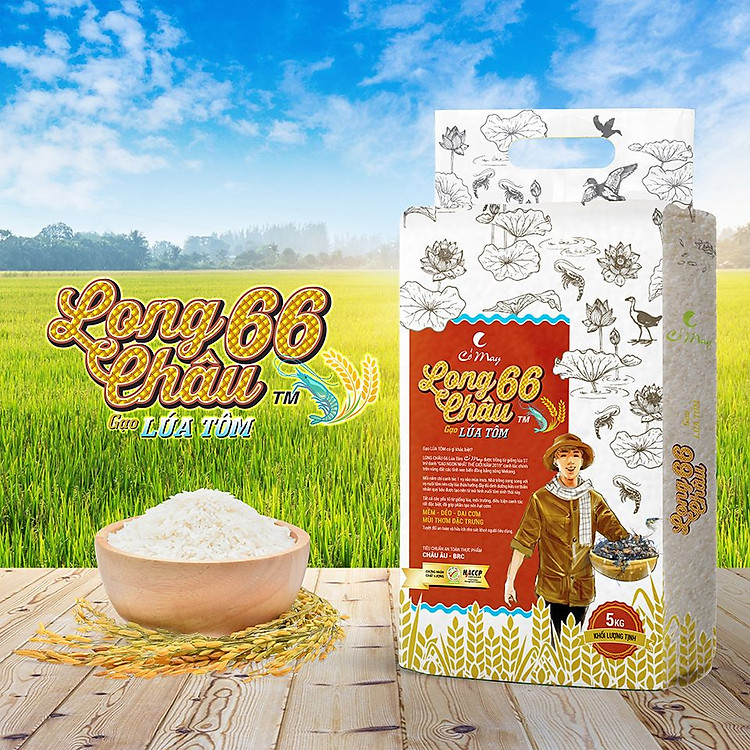 Gạo Long Châu 66 Lúa Tôm (ST25) Cỏ May 5kg