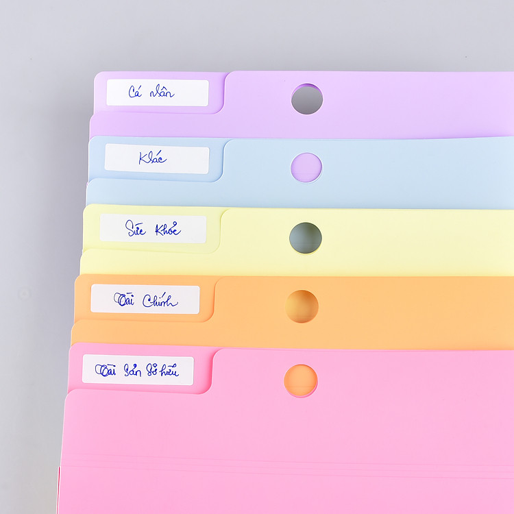 Bìa 5 Ngăn Hồ Sơ Gia Đình Lưu A4 Thiên Long DF-001 (130 tờ) - Ảnh 5