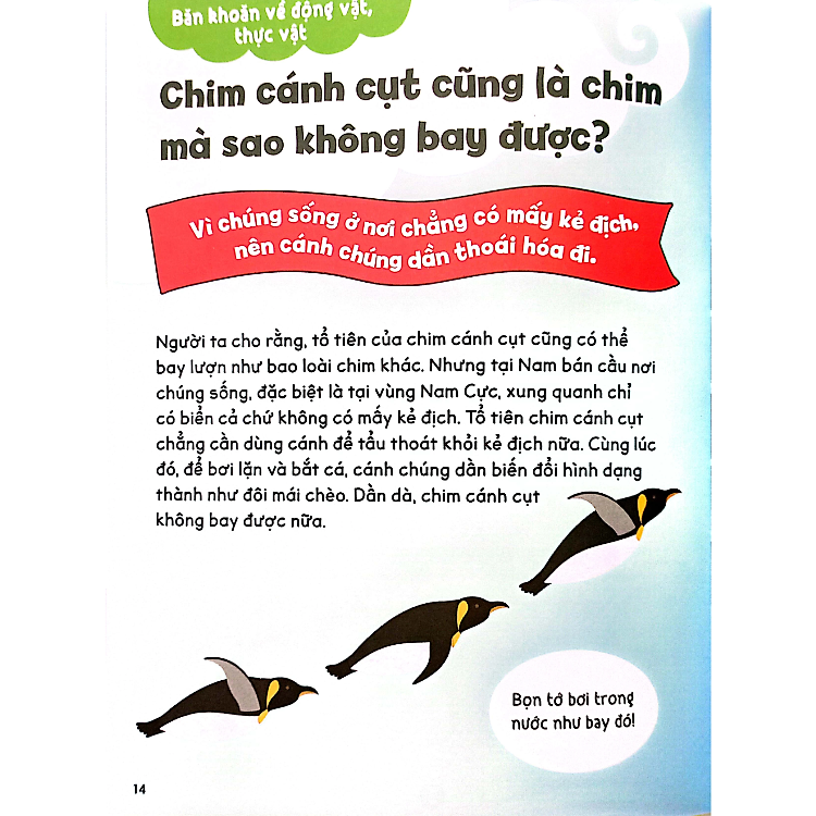 Gi Gỉ Gì Gi, Cái Gì Cũng Biết - Dành Cho Lớp 3 - Ảnh 2