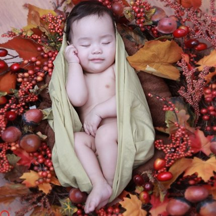 Gói chụp ảnh cho bé yêu tại ảnh viện gia đình Vivian