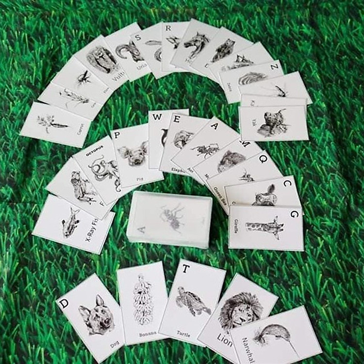 Bộ 46 thẻ học ANIMAL 4D - SPACE 4D