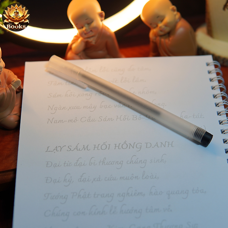 Chép Kinh - Sám Hối - Ảnh 7