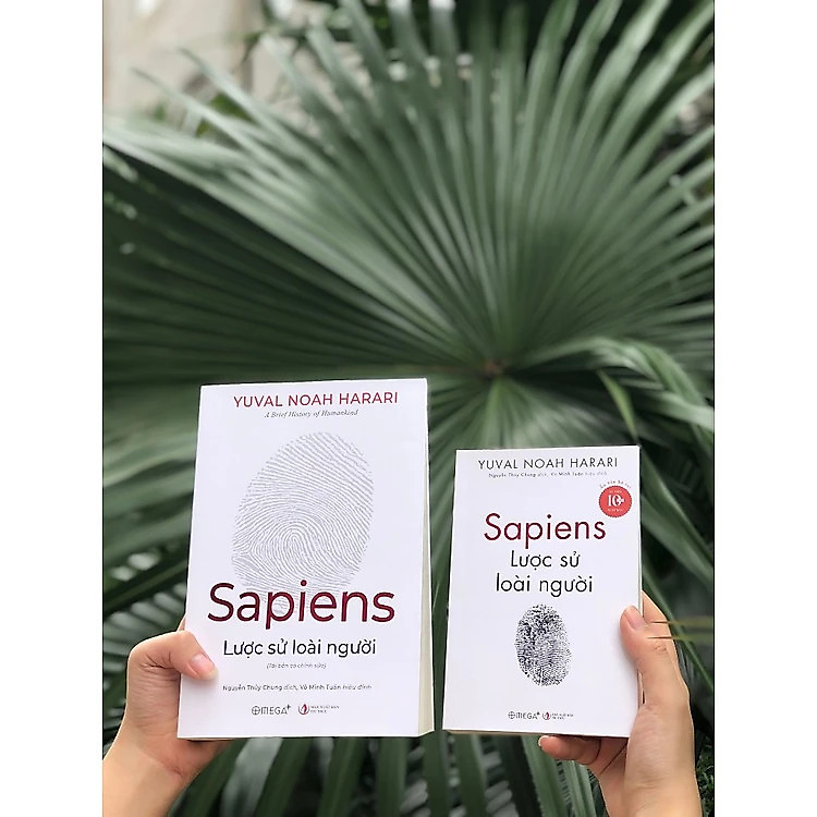 Sapiens - Lược Sử Loài Người - Ảnh 2