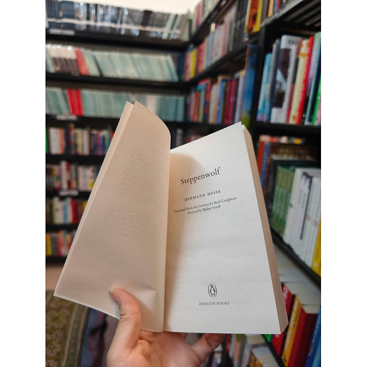 Steppenwolf by Hermann Hesse - Ảnh 4