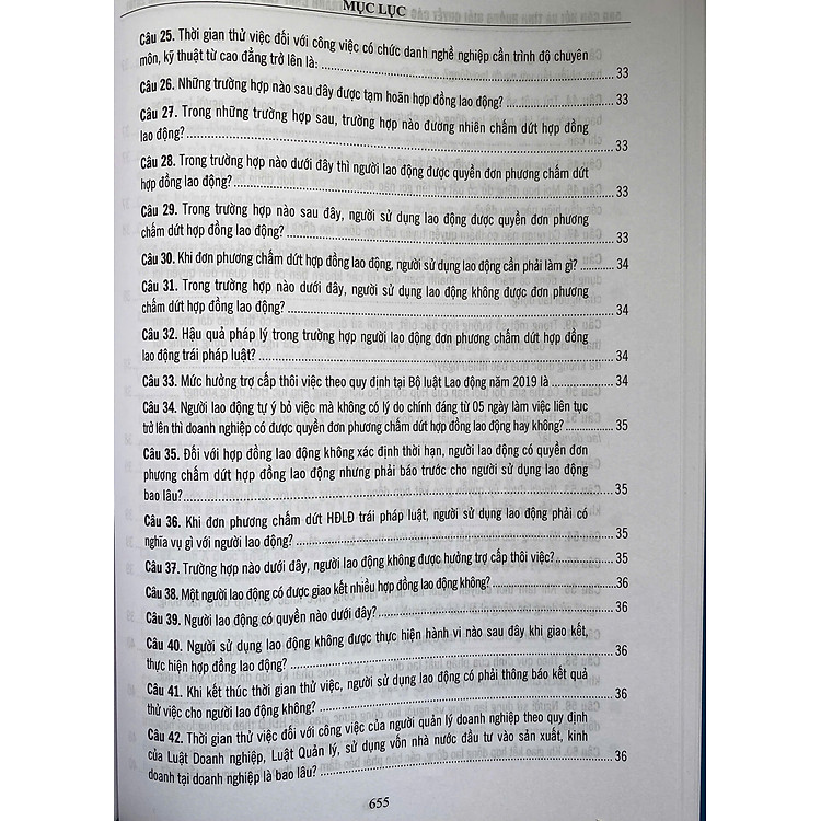500 Câu Hỏi Và Tình Huống Giải Các Vướng Mắc Tranh Chấp Lao Động Theo Bộ Luật Lao Động Năm 2019 - Ảnh 7