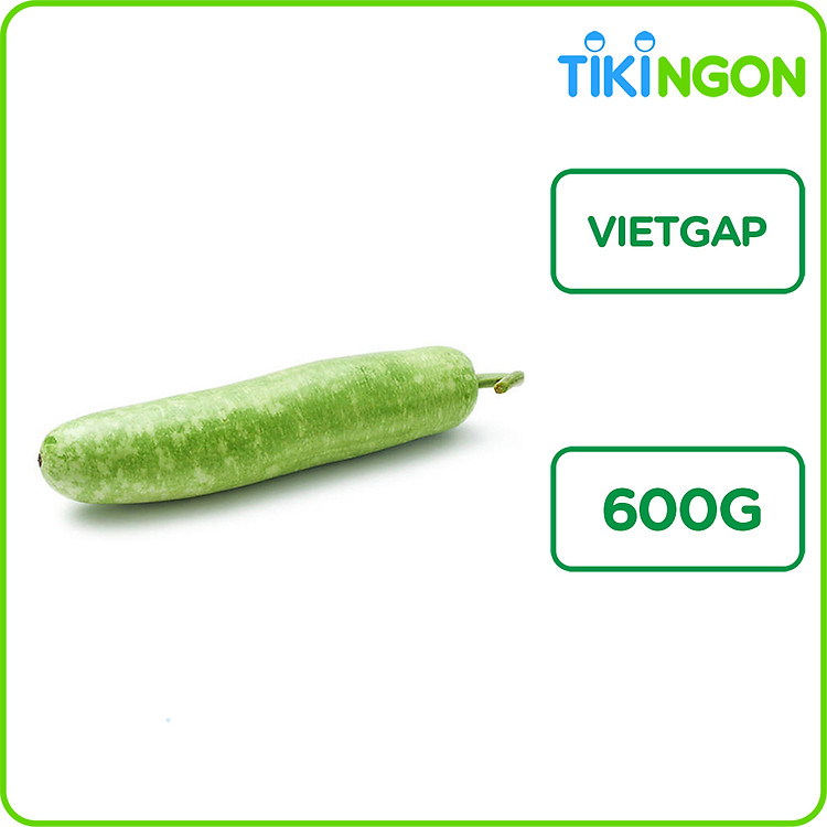 Bầu Xanh VietGap 500g-600g
