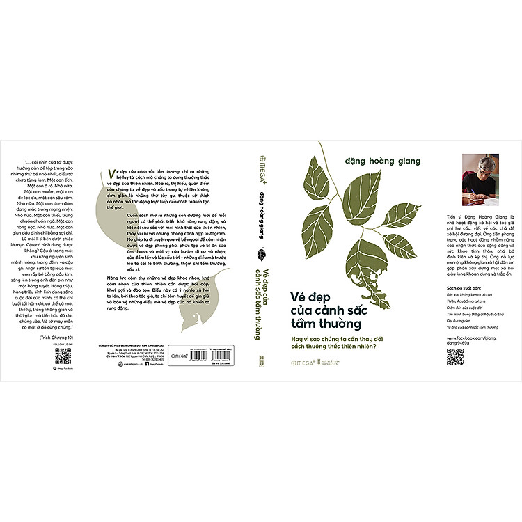 Vẻ Đẹp Của Cảnh Sắc Tầm Thường - Ảnh 2