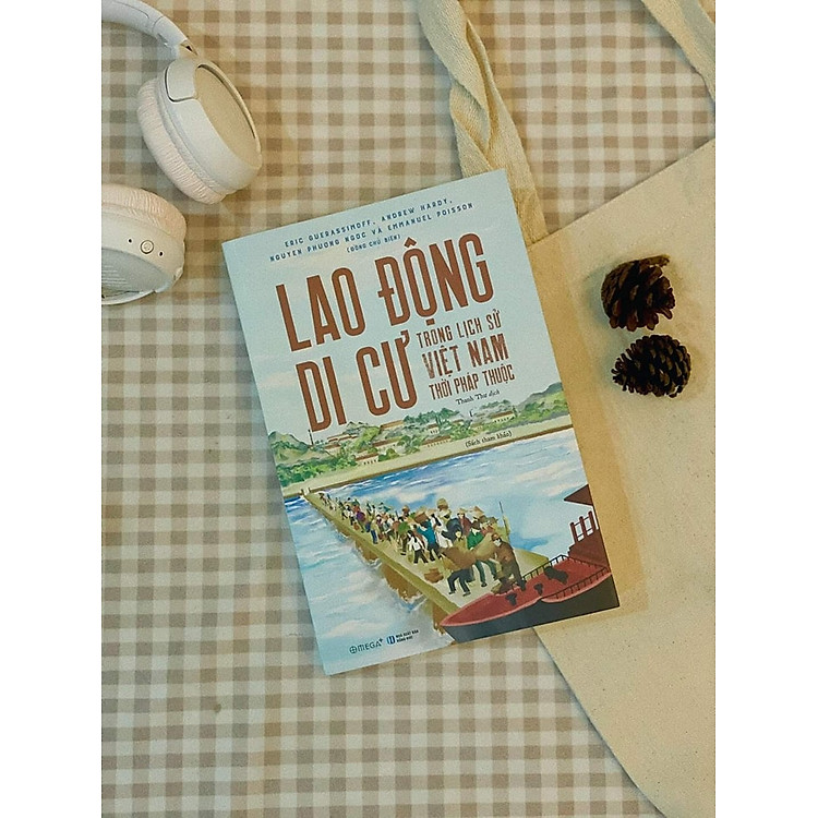 LAO ĐỘNG DI CƯ TRONG LỊCH SỬ VIỆT NAM THỜI PHÁP THUỘC - Ảnh 3