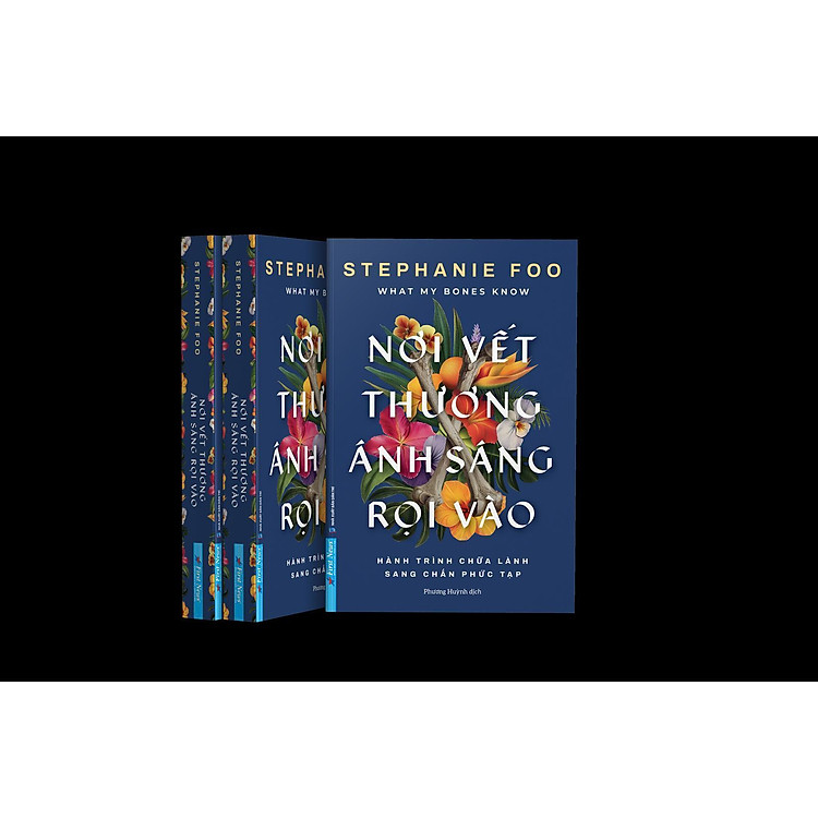 What My Bones Know - Nơi Vết Thương Ánh Sáng Rọi Vào - Hành Trình Chữa Lành Sang Chấn Phức Tạp - Ảnh 3