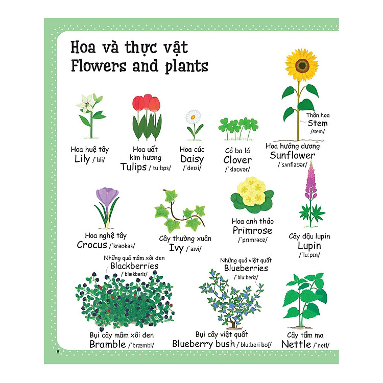 Từ Vựng Đầu Tiên Của Tôi - My First Word Book - Thiên Nhiên - Ảnh 5