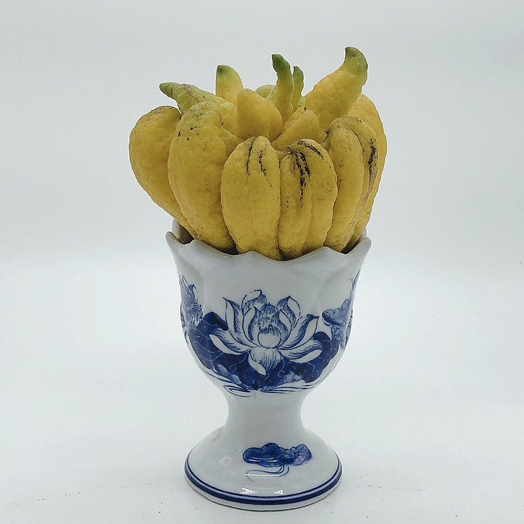 Ly đựng phật thủ men xanh lam