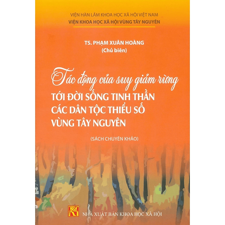 Sách - Tác động của suy giảm rừng tới đời sống tinh thần các dân tộc hiểu số vùng Tây Ng uyên - KHXH
