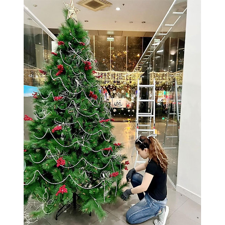 Cây Thông Noel Cước Đầu Vàng Gắn Trái Đỏ 2m1 - Ảnh 5