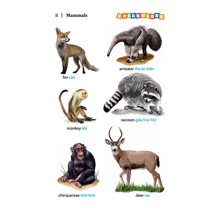 5.500 Từ Vựng Tiếng Anh Thông Dụng Nhất (Tái Bản 2020 - Màu) - Ảnh 5