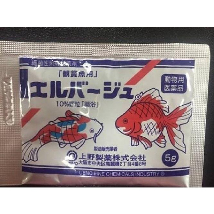 TETRA NHẬT GÓI 5G - P H Ò NG VÀ T.R. Ị B. Ệ. N.H -HỖ TRỢ CÁ KHỎE LONG THÀNH CÁ CẢNH