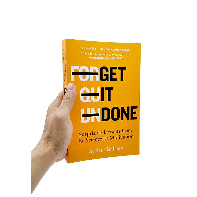 Get It Done: Surprising Lessons From The Science Of Motivation - Ảnh 2