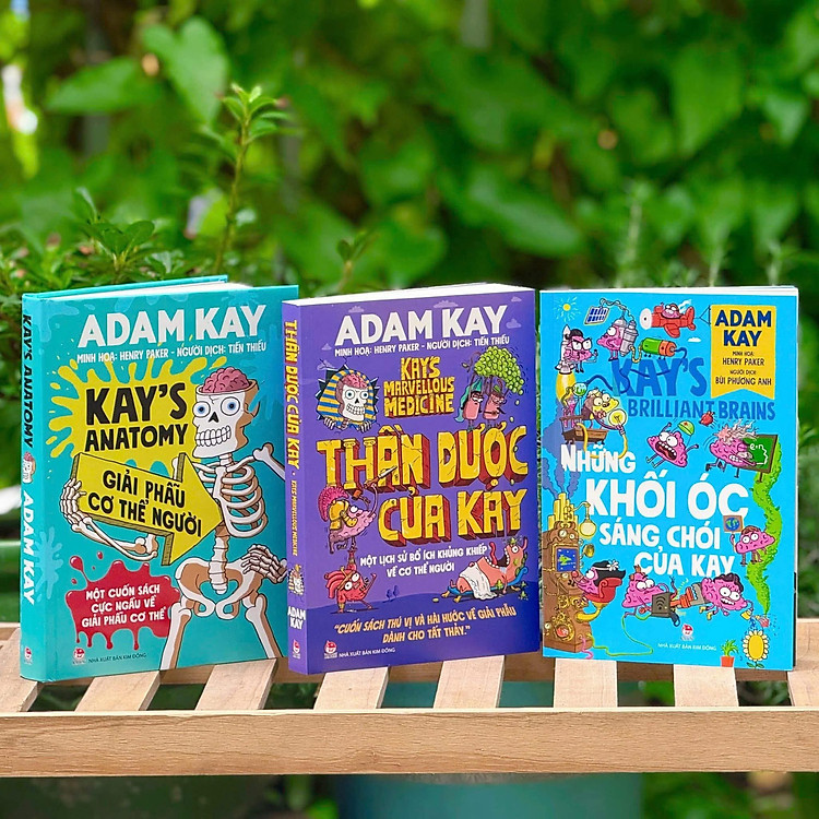 Giải Phẫu Cơ Thể Người