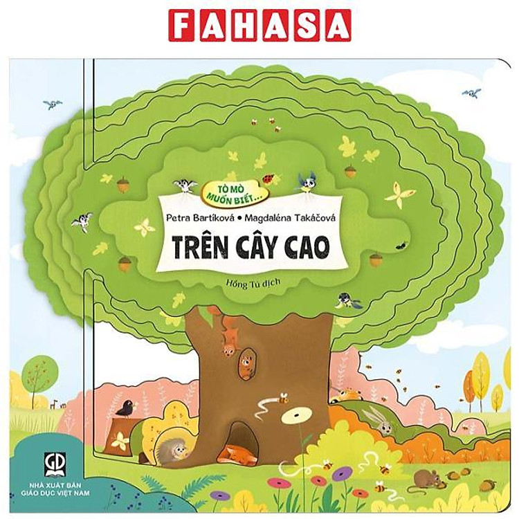 Tò Mò Muốn Biết… Trên Cây Cao