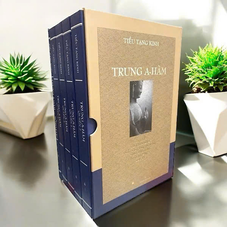 Tiểu Tạng Kinh Trung A Hàm (Bộ 5 Tập)