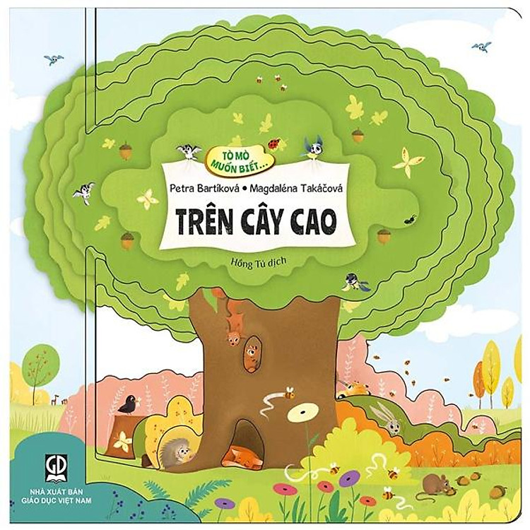 Tò Mò Muốn Biết… Trên Cây Cao - Ảnh 3