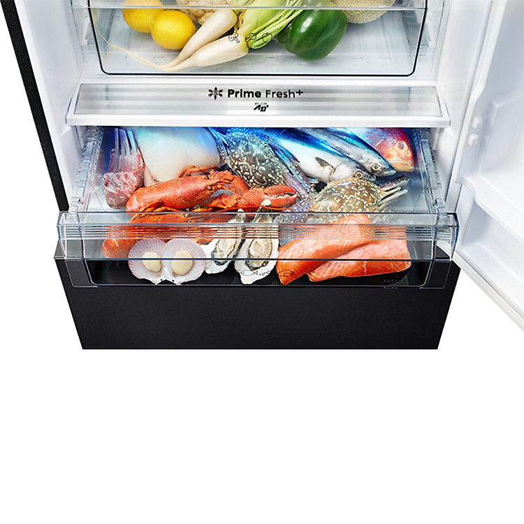 Tủ Lạnh 2 Cánh Panasonic 420 lít NR-BX471WGKV ngăn đá dưới - Ngăn đông mềm siêu tốc - Hàng chính hãng