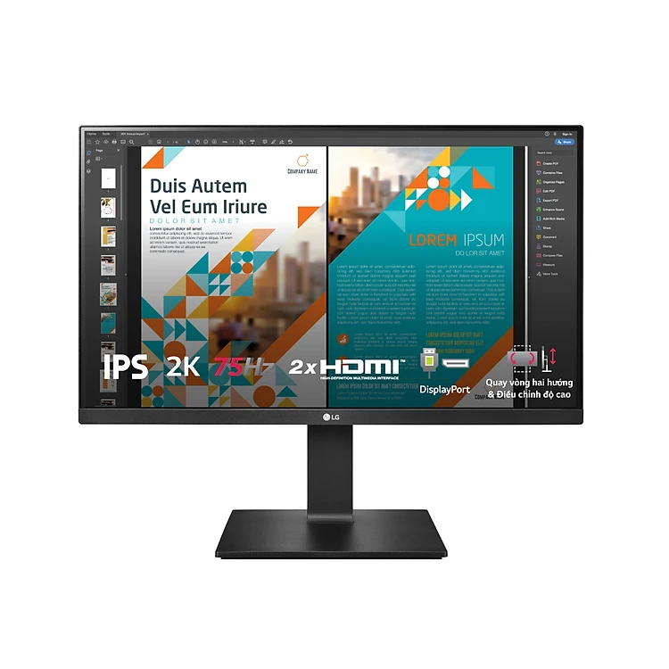 Màn hình máy tính LG QHD 23.8 IPS HDR10 chân đế linh hoạt 24QP550-B Hàng Chính Hãng