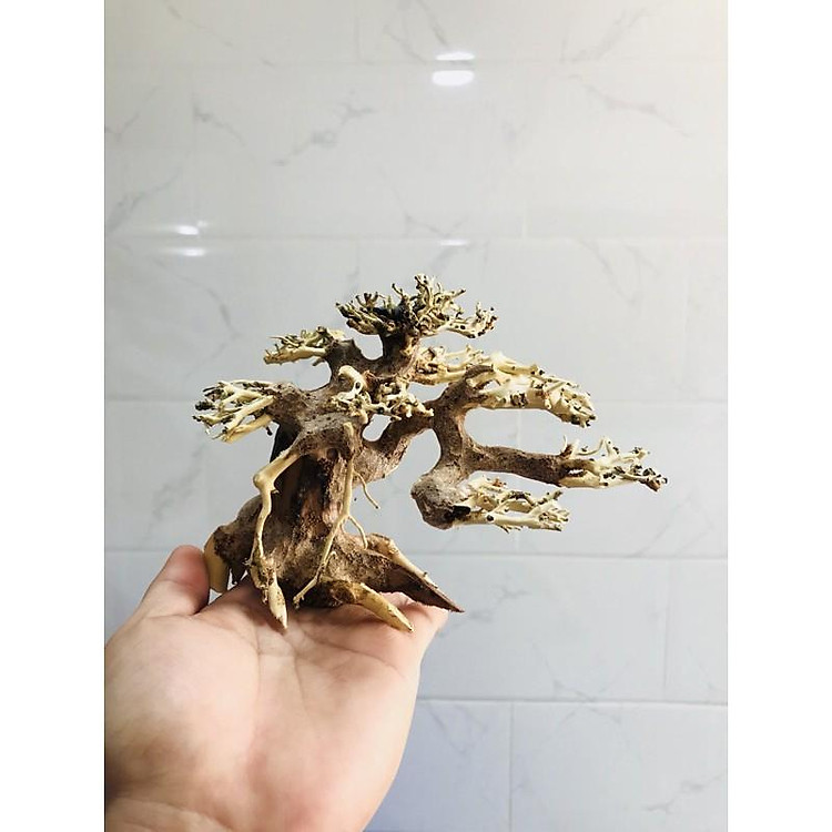 BONSAI LŨA GỖ MINI DÙNG CHO HỒ 20CM-40CM | THIẾT KẾ CỔ THỤ CHO HỒ THUỶ SINH