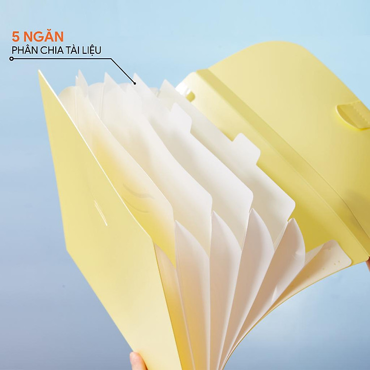 Túi đựng tài liệu AO+ A4 5 ngăn nhiều màu - Ảnh 2