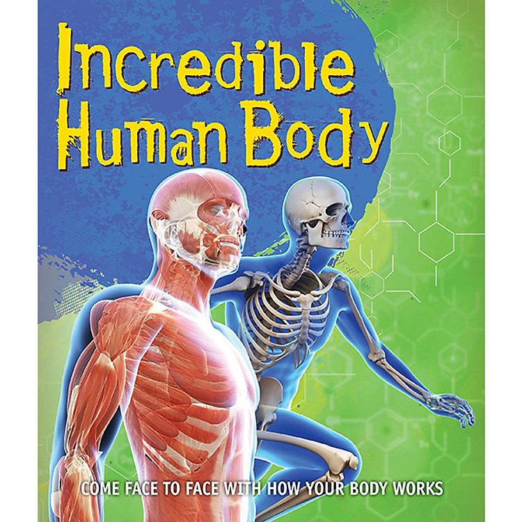 Sách Fast Facts! Incredible Human Body
