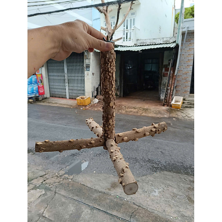 1 CÂY ĐẬU TREO LỒNG BẰNG GỖ GẠO (DẠNG CHỮ THẬP) DÙNG TREO TRONG LỒNG CHO CHIM, MỌI DÒNG VẸT ĐẬU