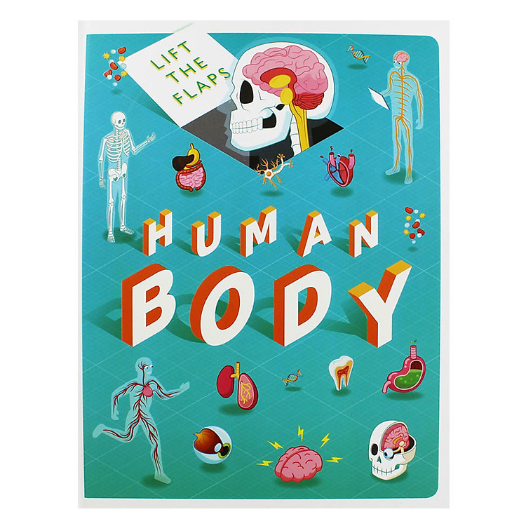 Sách Lift The Flaps: Human Body