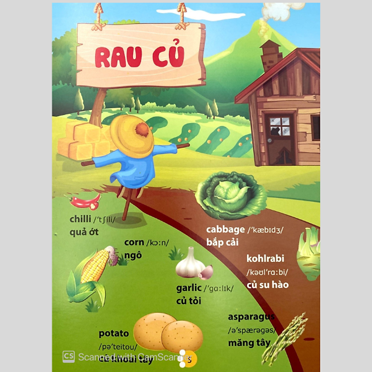 Từ Điển Phát Triển Ngôn Ngữ Bằng Hình Dành Cho Trẻ Mầm Non - Ảnh 6