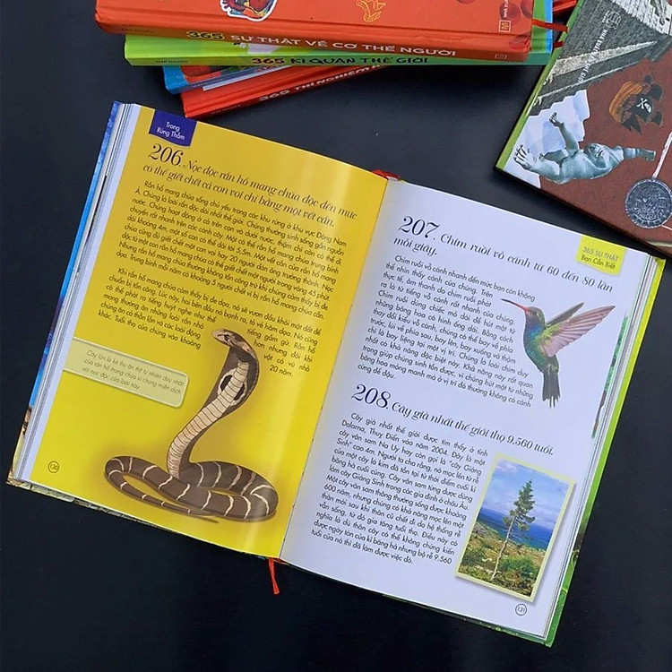 101 Truyện Hay Theo Bước Bé Gái Trưởng Thành - Ảnh 4