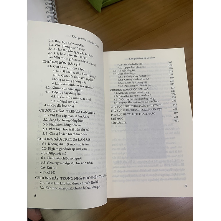 Khai Quật Tàu Cổ Cù Lao Chàm - Ảnh 3