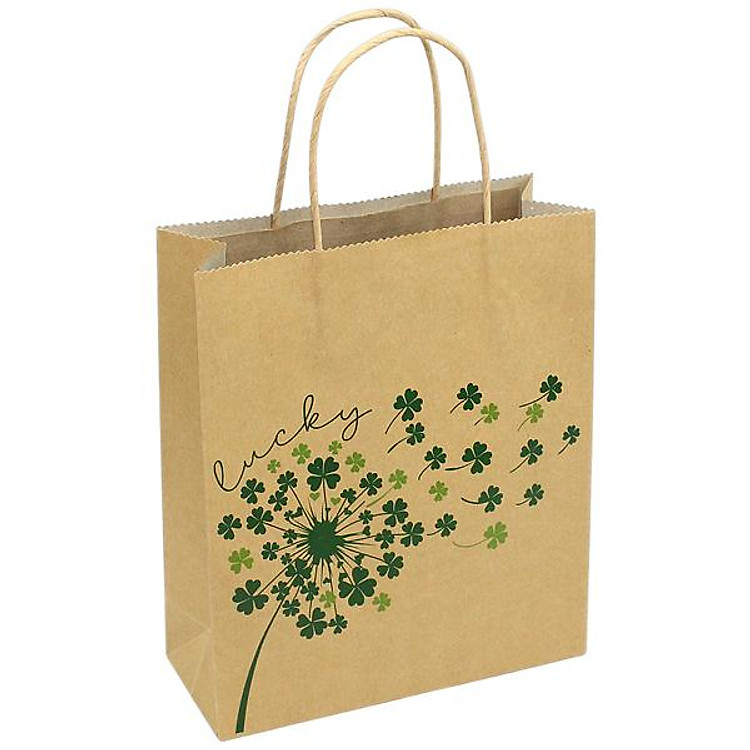 Túi Giấy Kraft (22 x 25 x 8 cm) - Ảnh 2