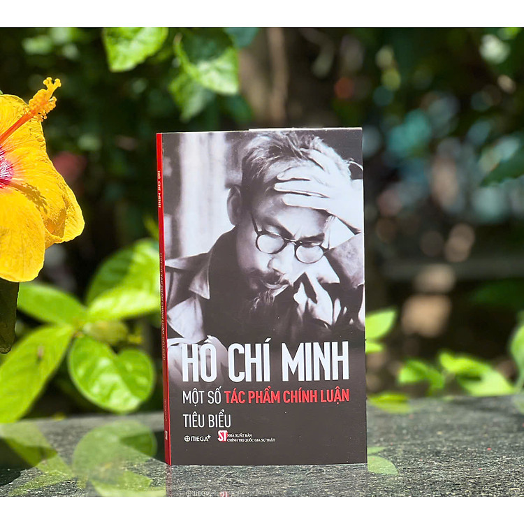 Bông Sen Vàng - Thời Niên Thiếu Của Chủ Tịch Hồ Chí Minh - Ảnh 3