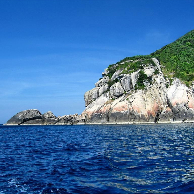 Tour Cù Lao Chàm 01 Ngày, Khởi Hành Hàng Ngày Từ Đà Nẵng