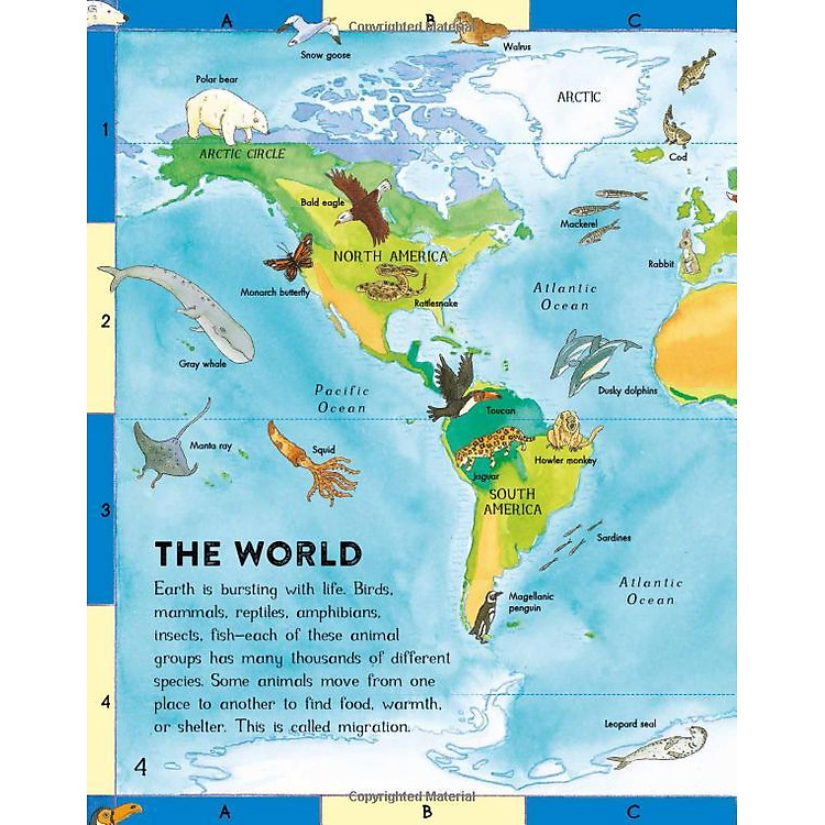 First Animal Picture Atlas - Ảnh 7