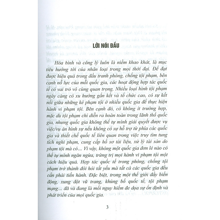 Luật Hình Sự Quốc Tế - Ảnh 3