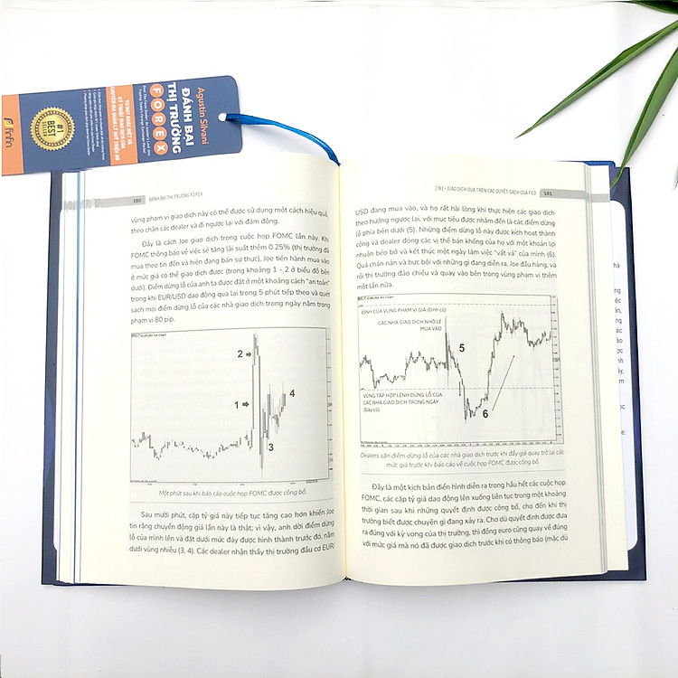 Đánh Bại Thị Trường Forex - Tư Duy Khác Biệt Và Kỹ Thuật Giao Dịch - Ảnh 3