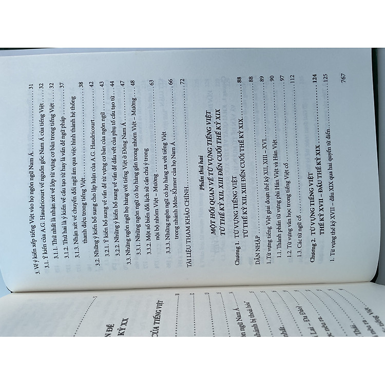 Tiếng Việt Lịch Sử - Một Tham Chiếu Hồi Quan - Ảnh 7