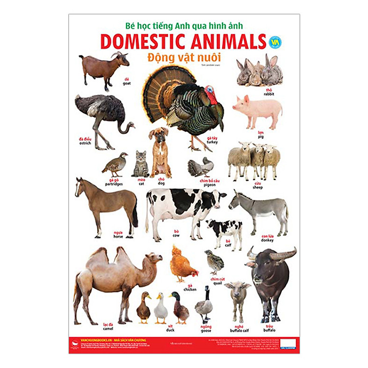 Sách Bé Học Tiếng Anh Qua Hình Ảnh - Động Vật Nuôi (Tái Bản)