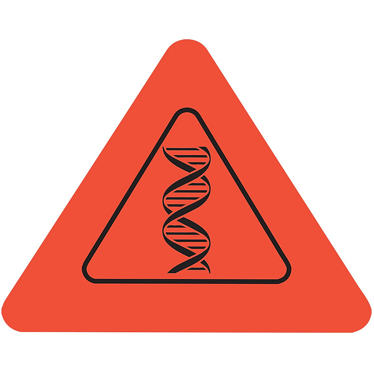 Cẩm Nang Khám Phá Cơ Thể Người - Ảnh 2