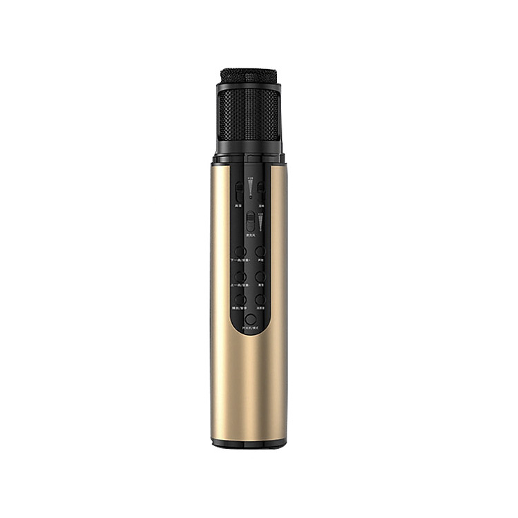 Micro karaoke kèm loa bluetotoh cao cấp âm thanh vượt trội PKCB PF1018 - Hàng chính hãng